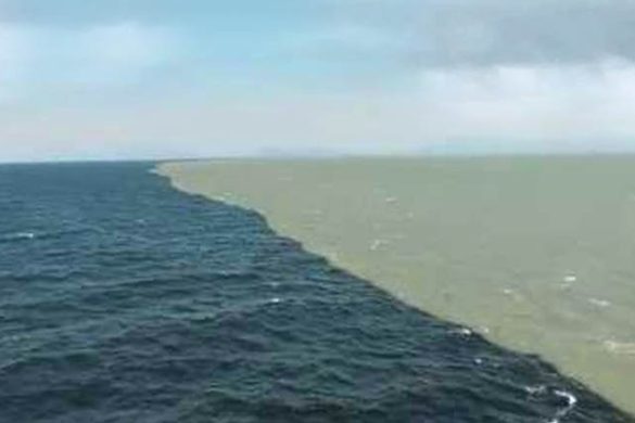 Perché i due oceani non si mischiano nel Golfo dell’Alaska?