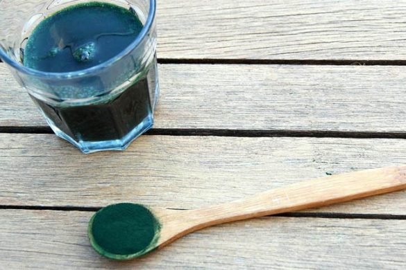 Spirulina: tra le alghe quella con i maggiori benefici per la salute